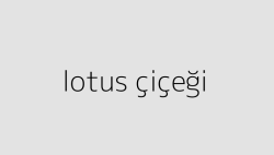 lotus cicegi 64de05d86fb7c