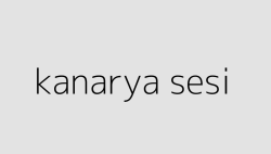kanarya sesi 64f85da856116