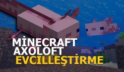 minecraft axolotl nasil evcillestirilir axolotl ne yer ciftlestirme degerleri ve nadirlik 64fdc3799cbbc