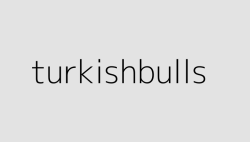 turkishbulls 64f9bacb329d9